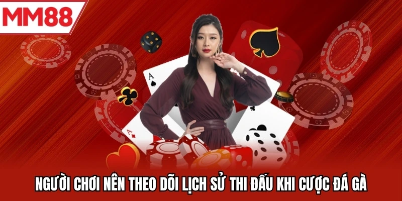 Người chơi nên theo dõi lịch sử thi đấu khi cược đá gà